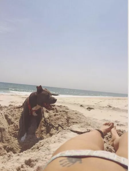Chelsea_mariee Chelsea_mariee