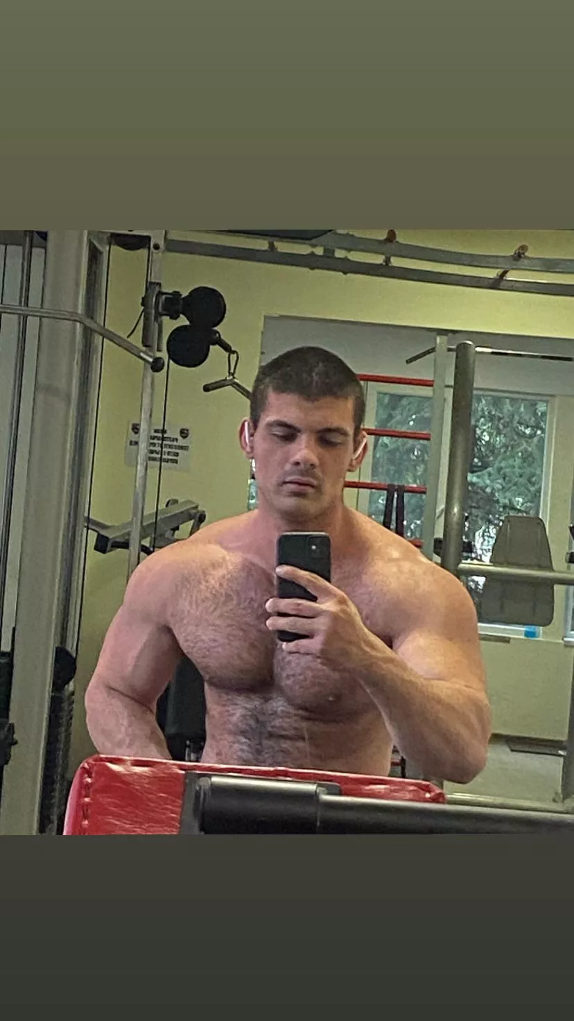 Chest Chest