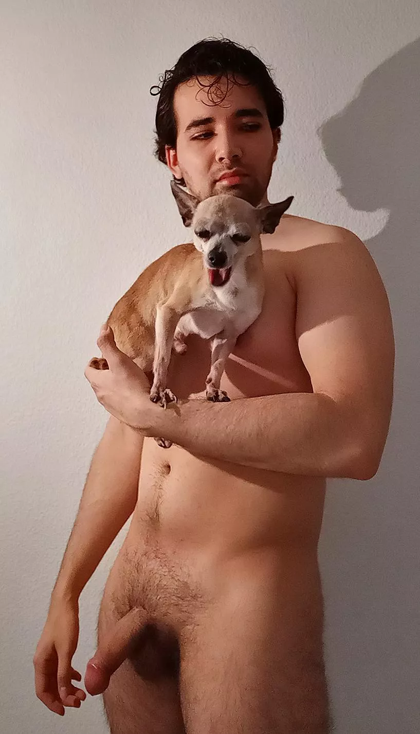 Chihuahua here Chihuahua there Everybody wants it everywhere Chihuahua here Chihuahua there Everybody wants it everywhere