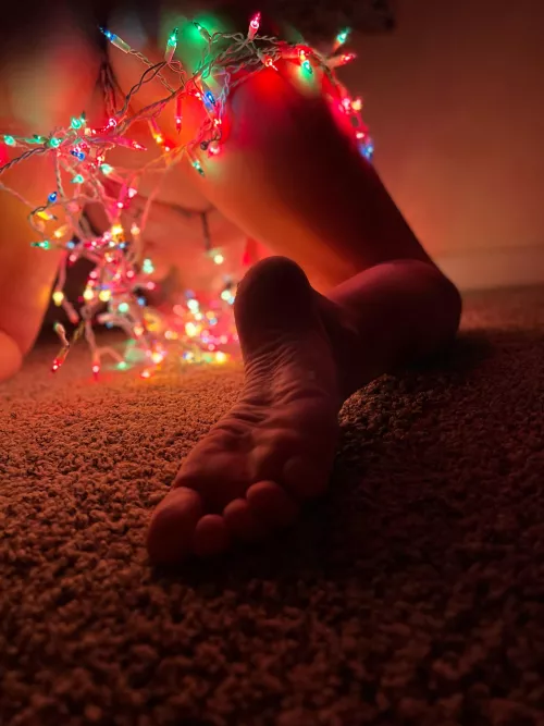 Christmas Eve 🤶 what’s for dinner ?