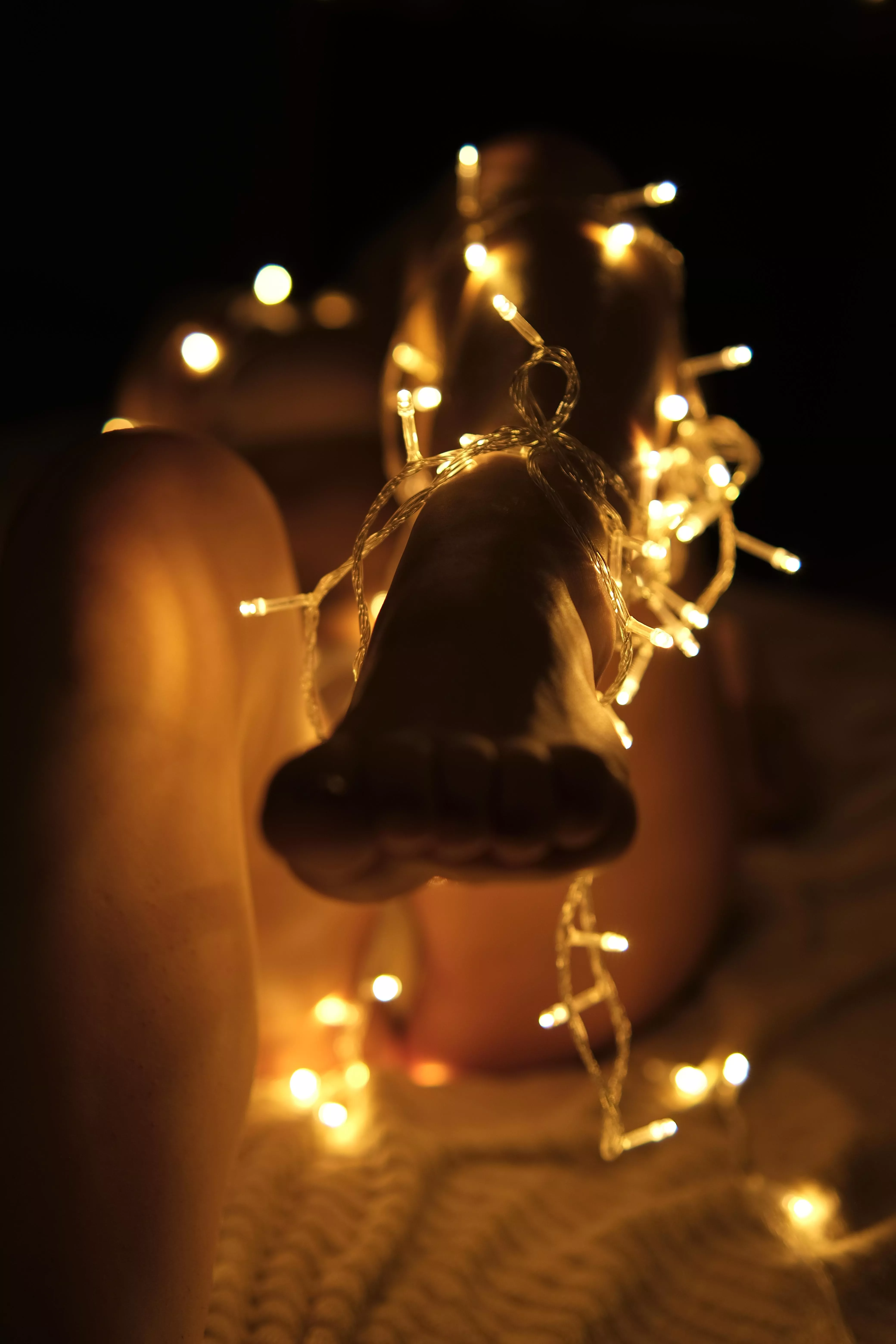 Christmas mood in your face