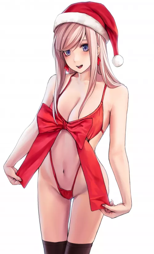 Christmas Musashi [Fate/Grand Order]