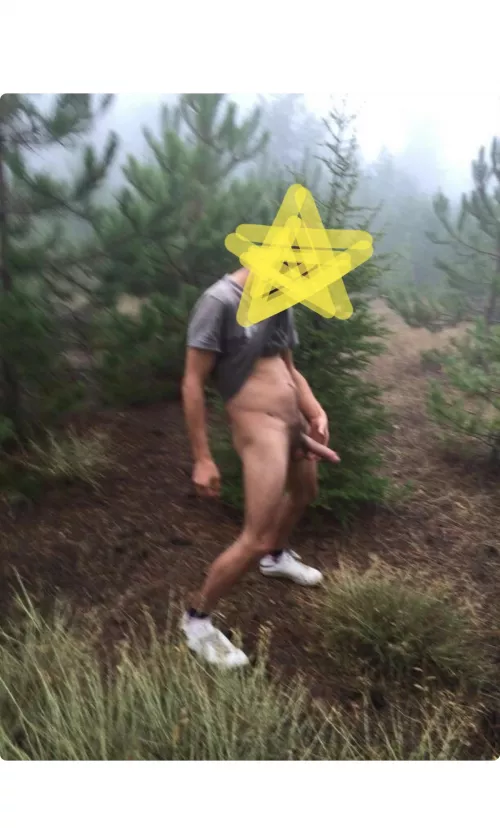 Christmas tree from Berlin 😝