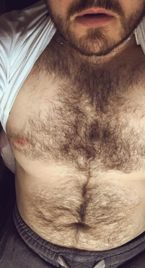 Chubby and hairy a deadly combo