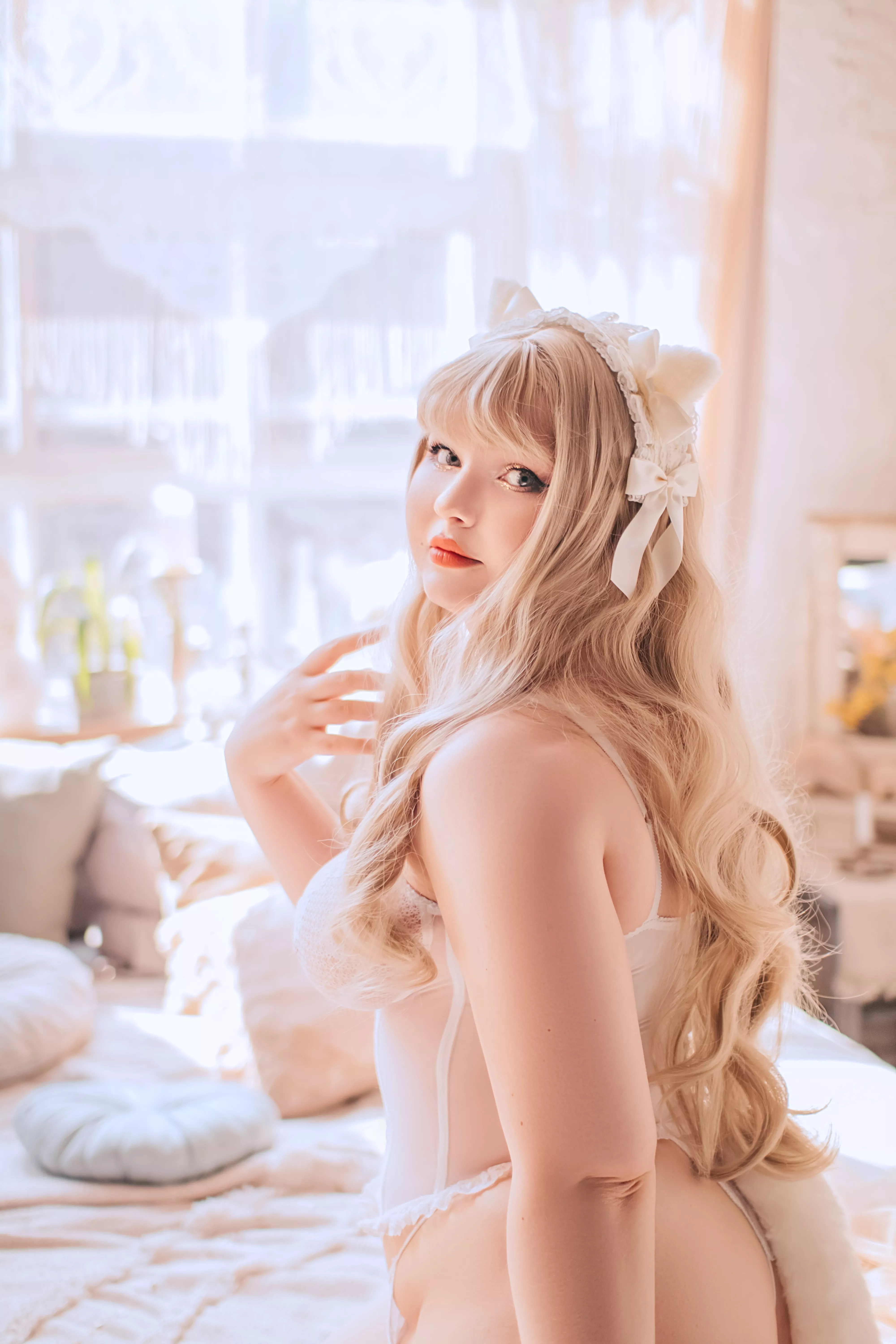 Chubby kitty by VenusBlessing Chubby kitty by VenusBlessing