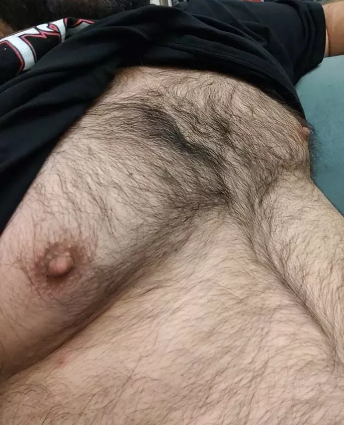 Chubby with lots of hair to go around lol