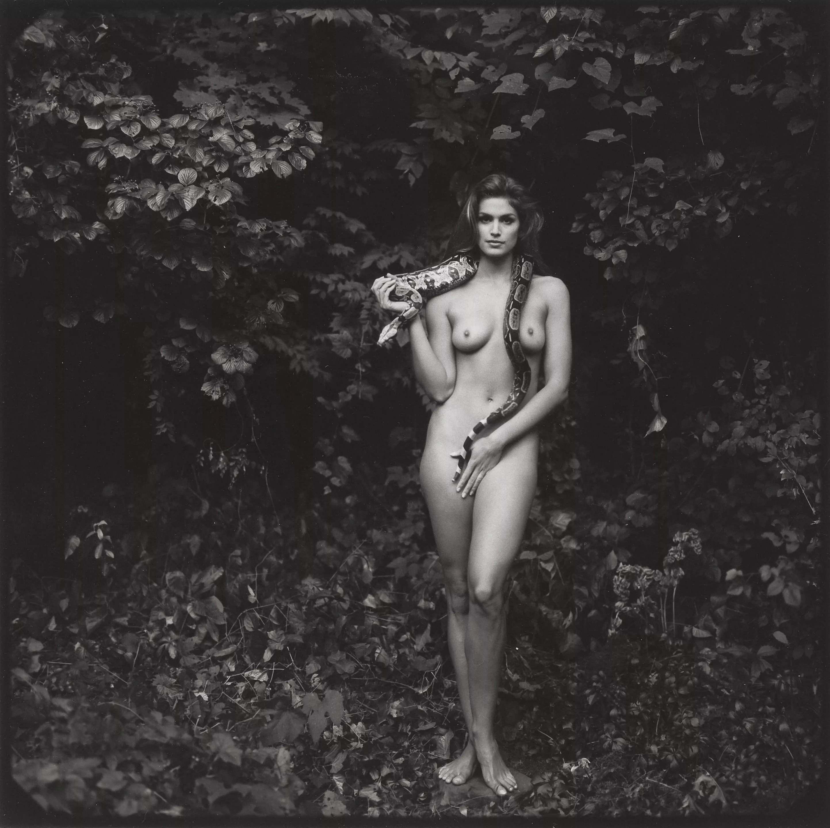 Cindy Crawford |  Cindy Crawford |
