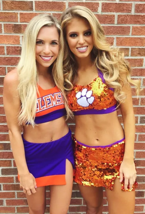 Clemson or paw patrol Clemson or paw patrol