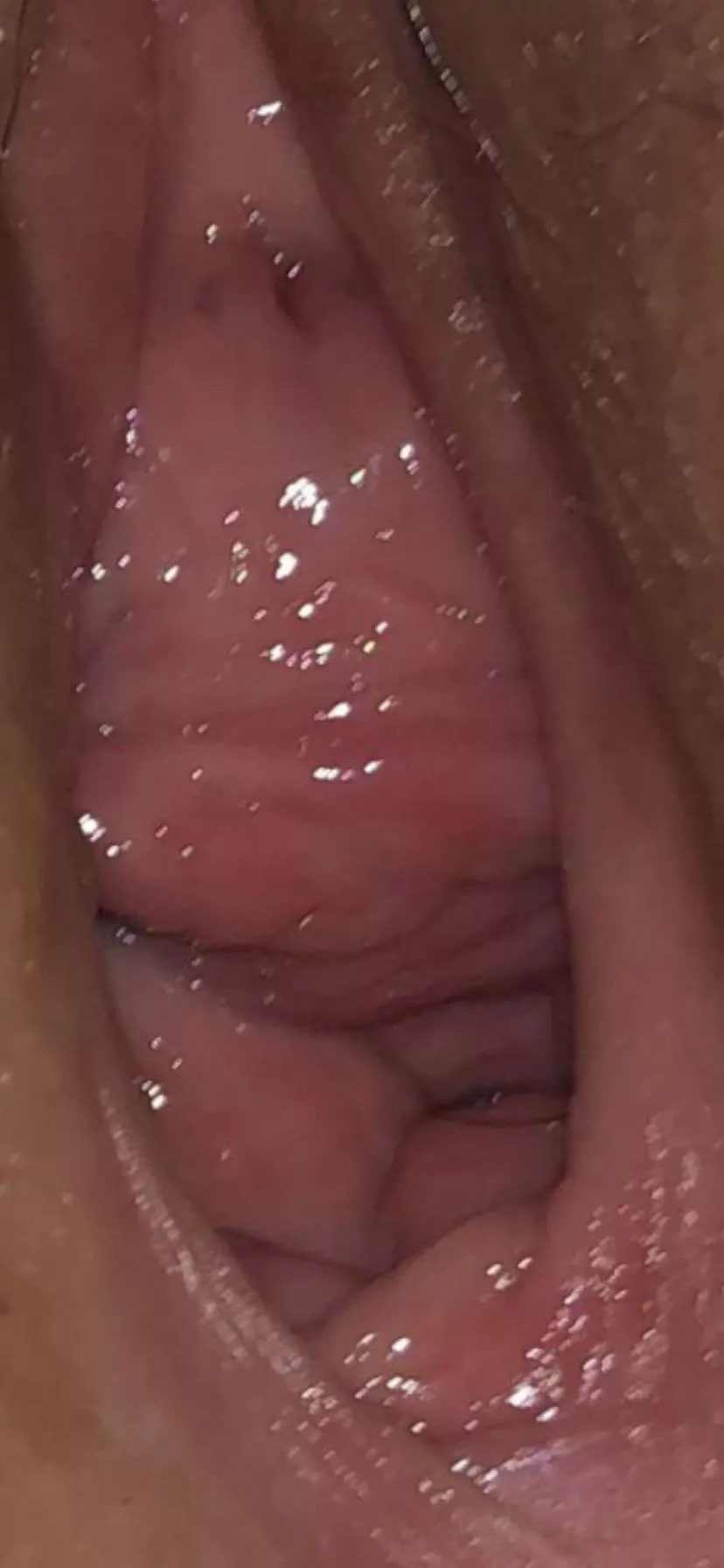 close up latina pussy