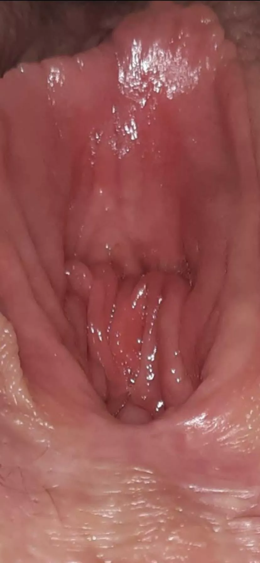 wet vagina close up