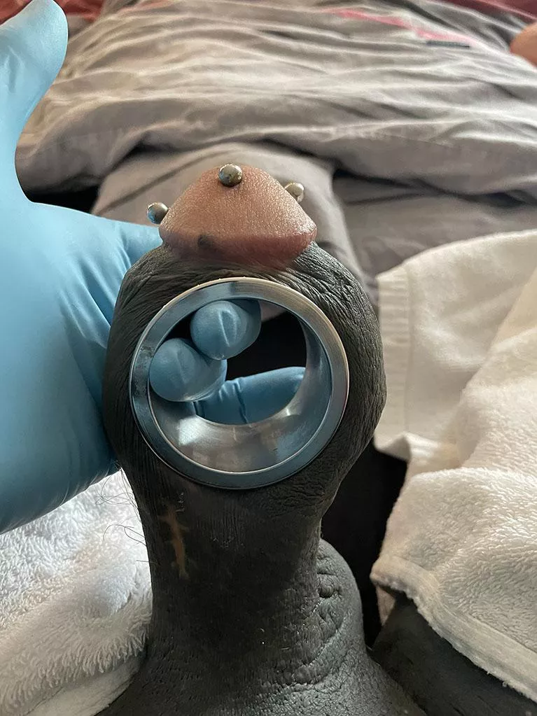 Cock grommet Cock grommet