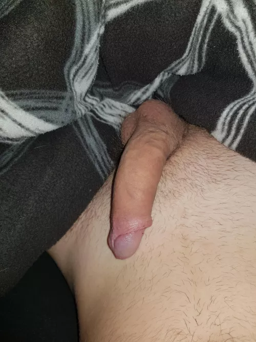 Cock Cock