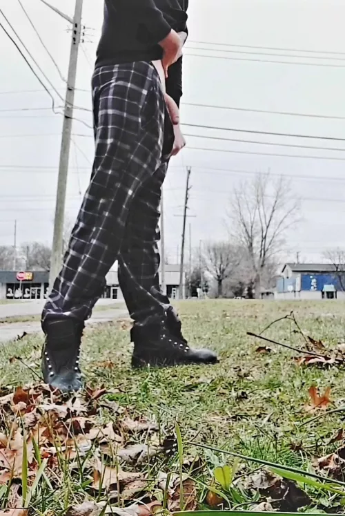 Cock out by a road and some houses, what would you do if you saw it?