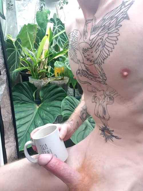 Coffee an plants anyone?