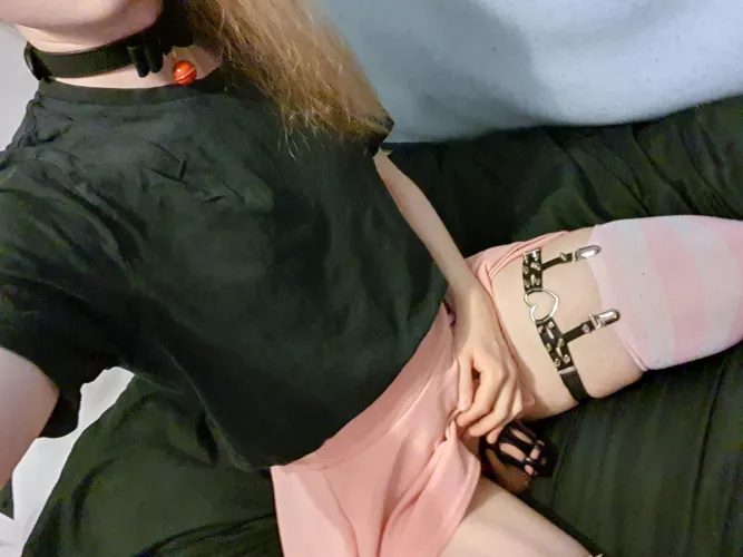 Collared and caged ^_^, it feels incredible