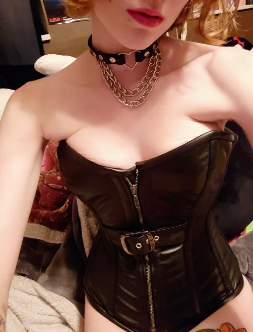 Collared and ready to serve π€β€