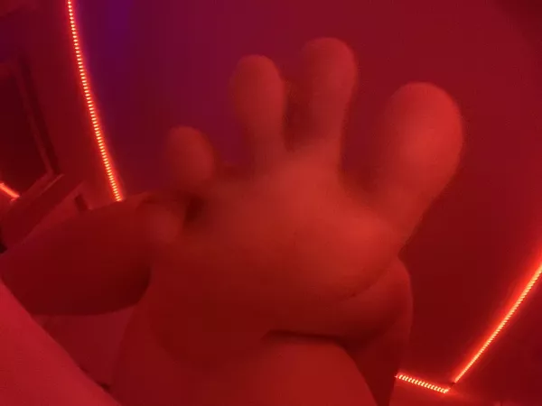 Come and feast. Come and feast.