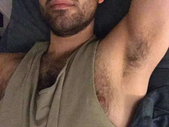 Come and sniff Come and sniff