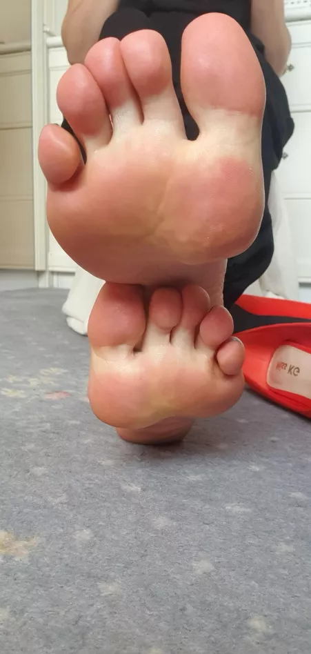 Come closer and sniff. Come closer and sniff.
