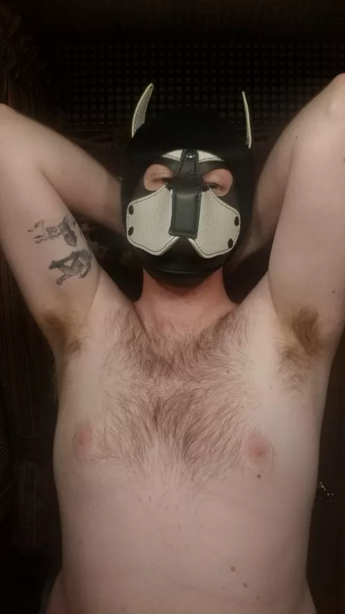 Come get a sniff from mee