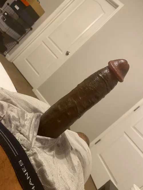 Come get this BBC sissies worship your superior kik blackdaddyy12