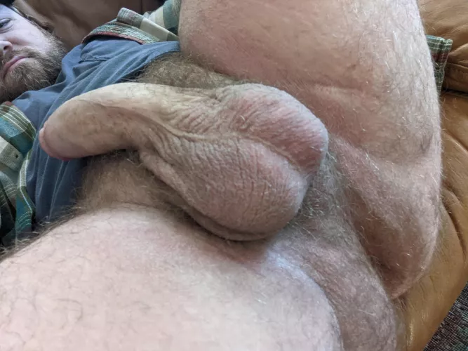 Come here and kiss daddy's smelly nuts Come here and kiss daddy's smelly nuts