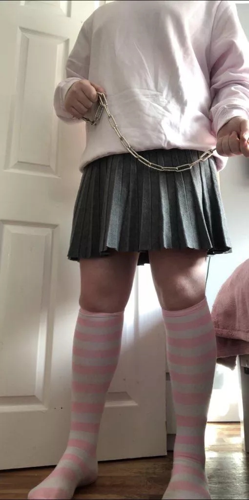 Come on pet, time for walkies ! ✨