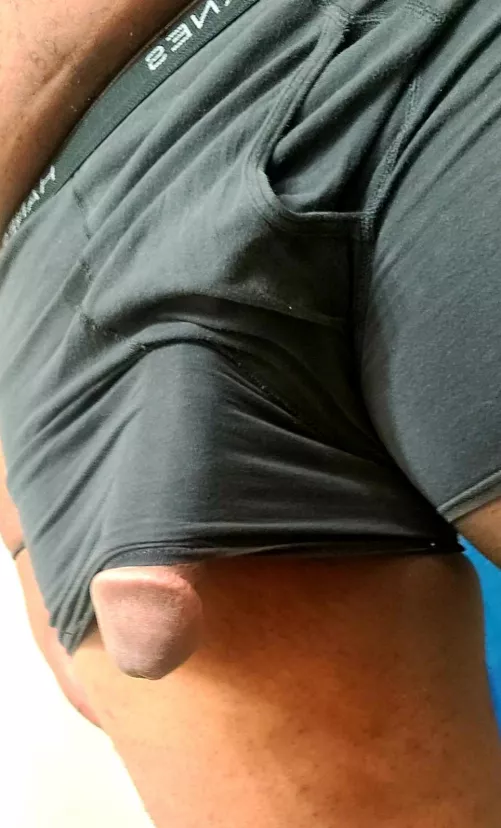 Come on, you know what Daddy wants