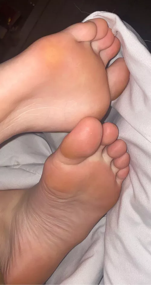 come smell come smell