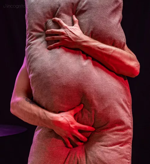 Come swap places with my pillow Come swap places with my pillow