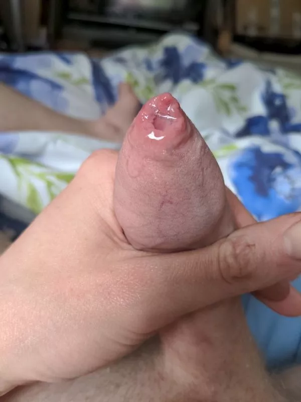 Come to bed Come to bed