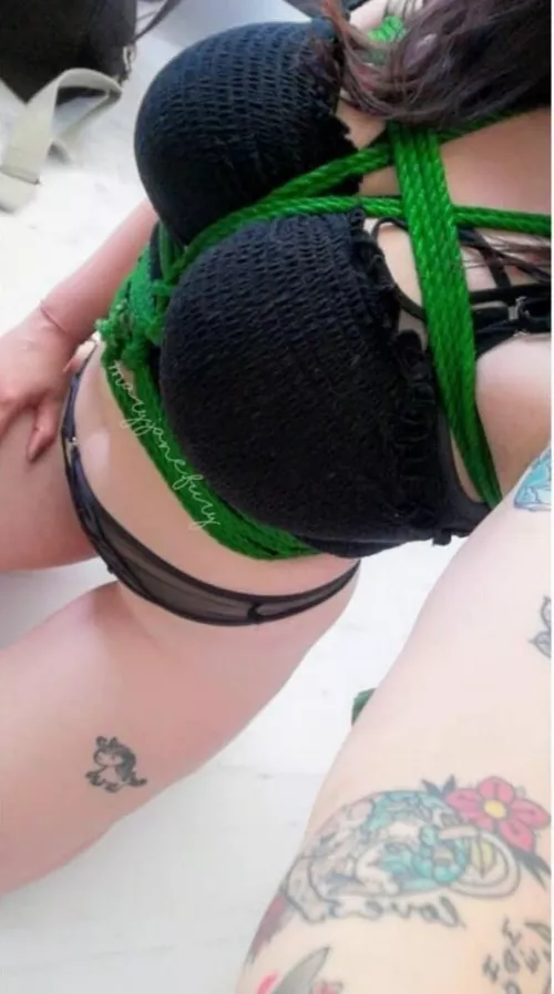 Comforting chest harness