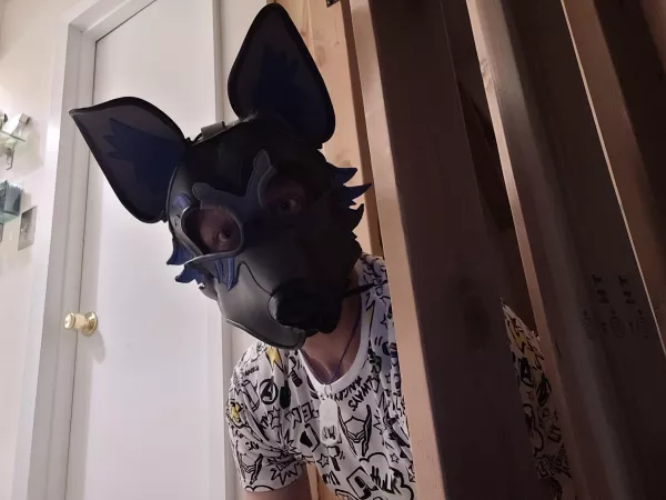 Coming out the kennel slow. I spook easy. Coming out the kennel slow. I spook easy.