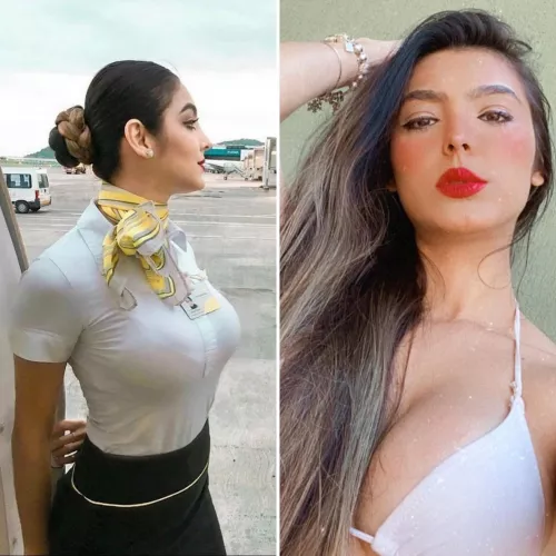 comissário de bordo 🇧🇷