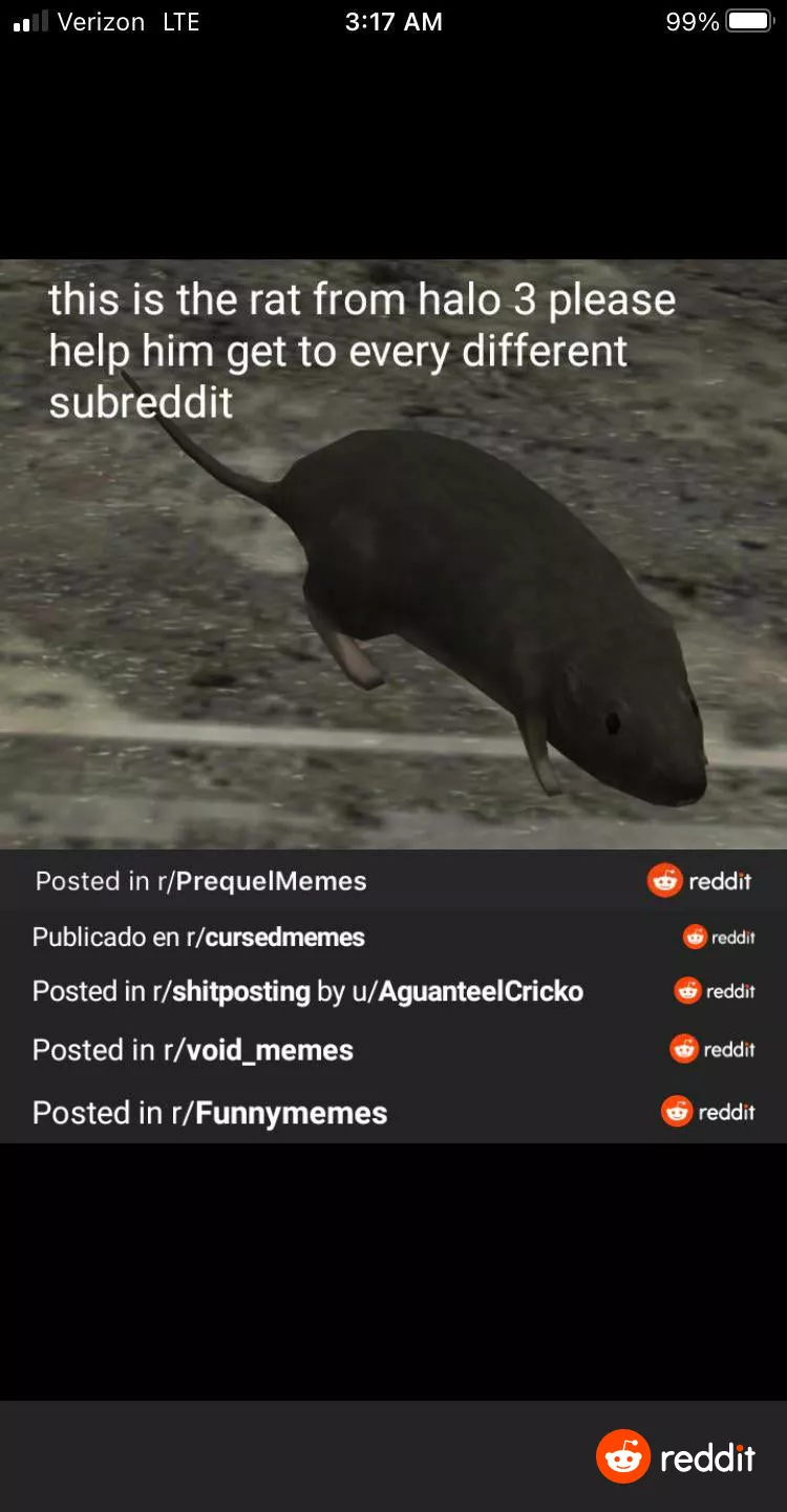 Continue his journey.