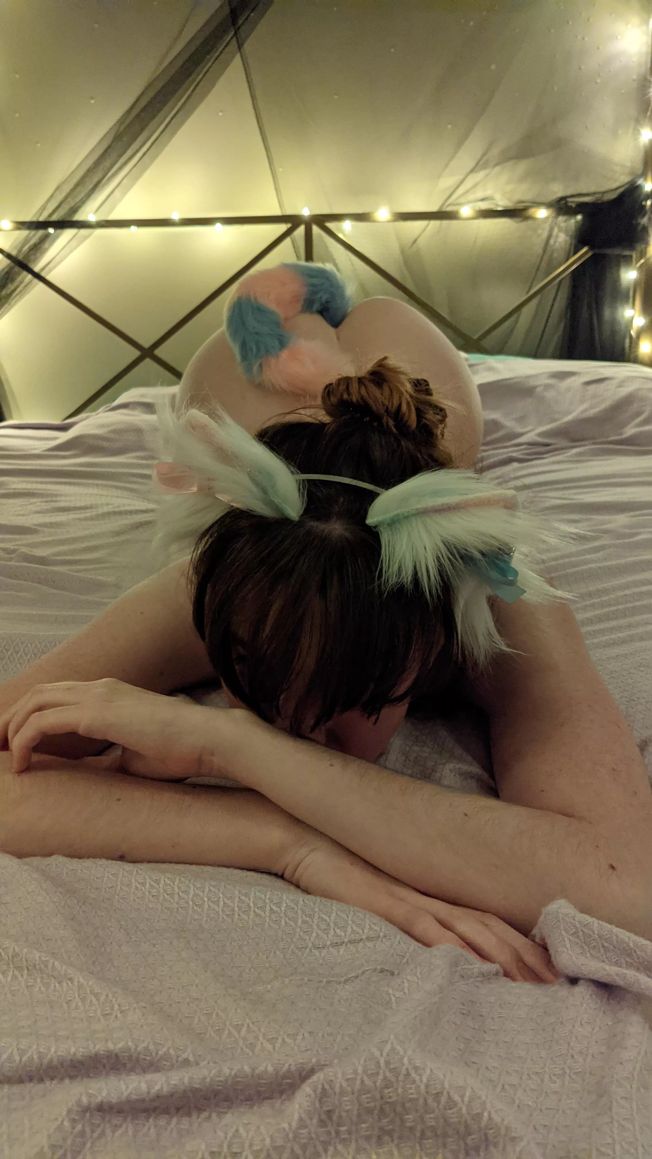 Cotton candy kitten ?