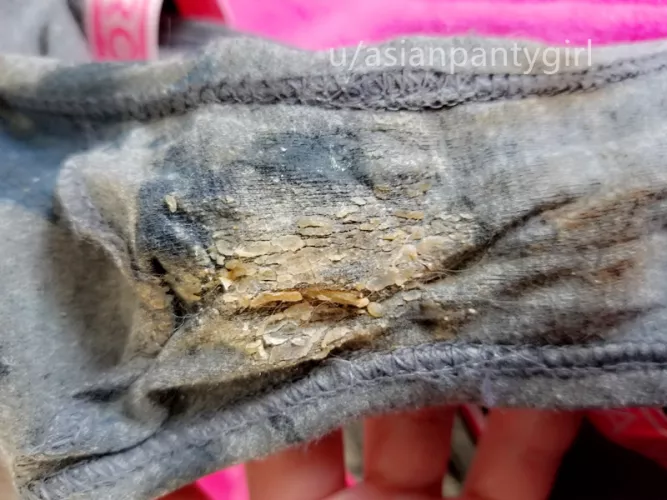 Cotton cheekies 4 grooly days + skidmarks~