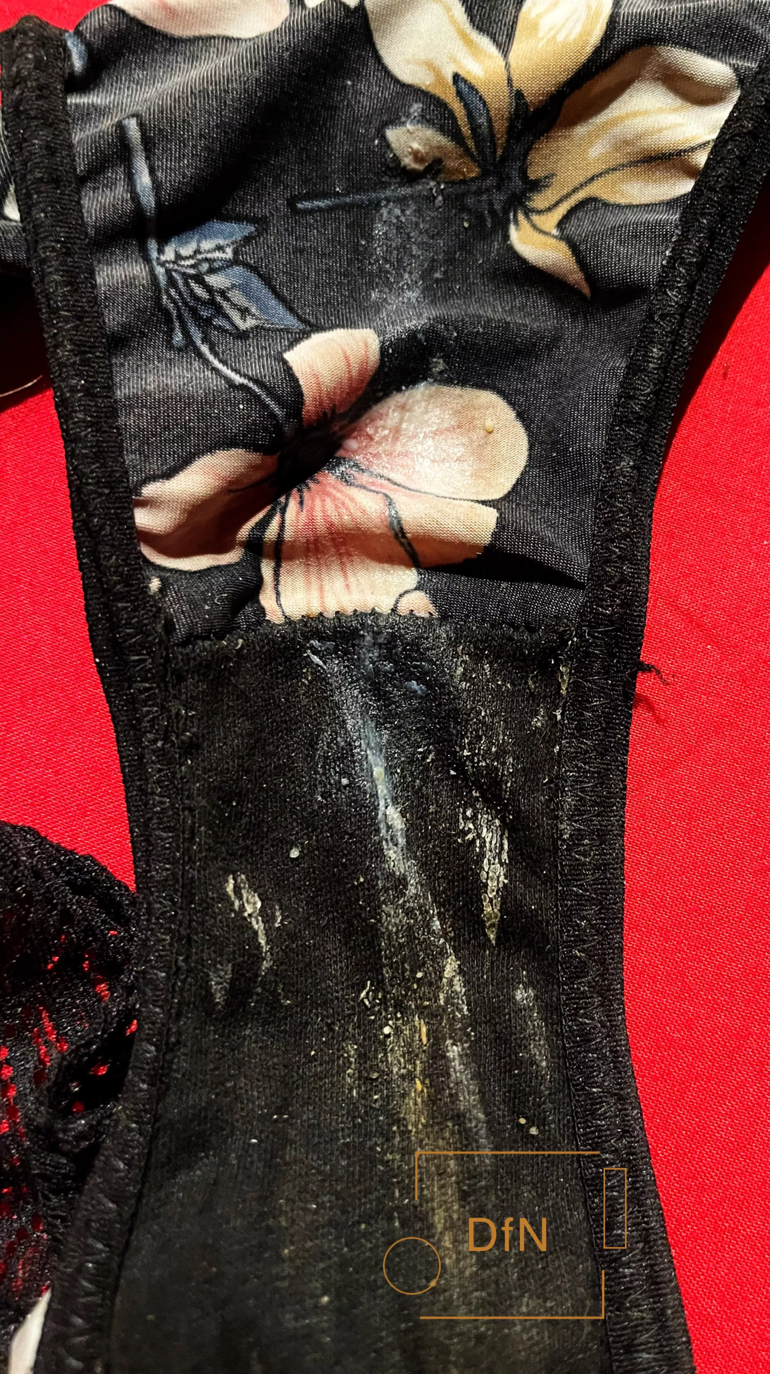 Could I tease him with this picture?