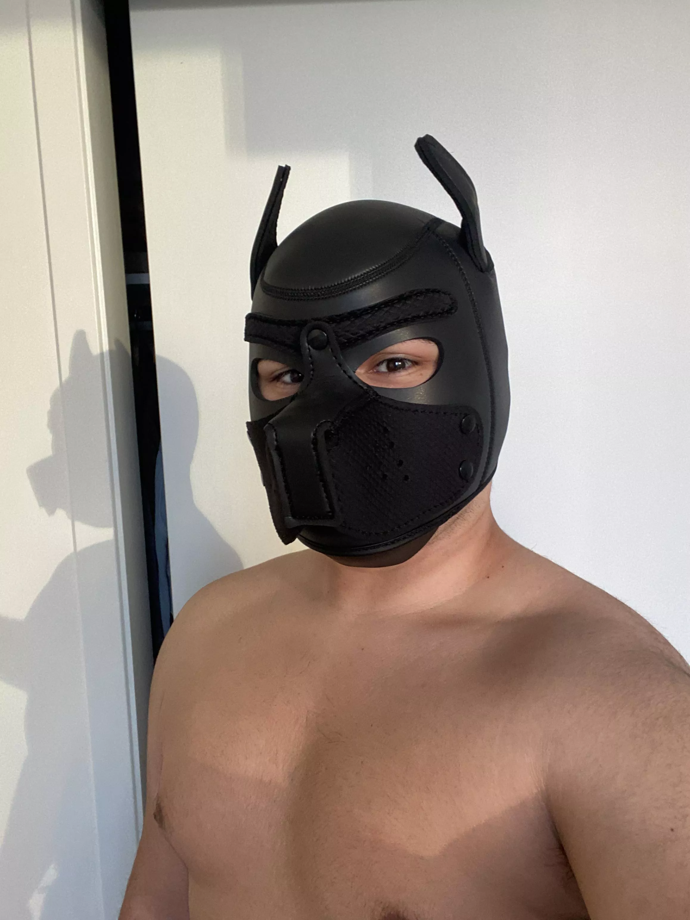 Could really use some pup bros to chat with 😄
