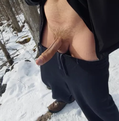 Could use a good snow blow