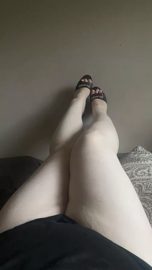 Could you nibble on my legs, while I nibble on your bone?