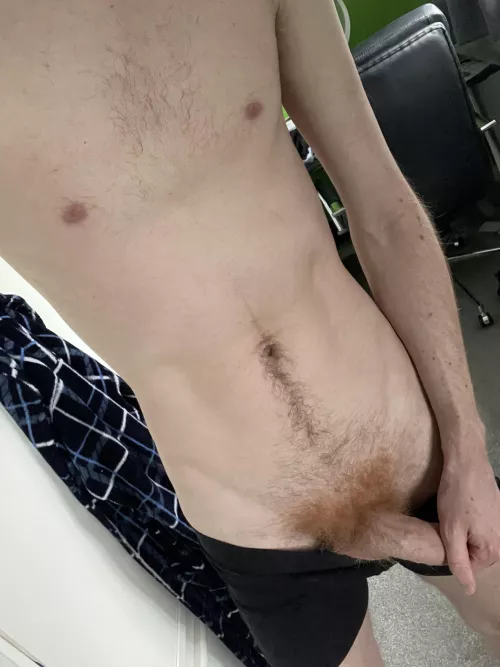 Couldn’t resist showing my bush