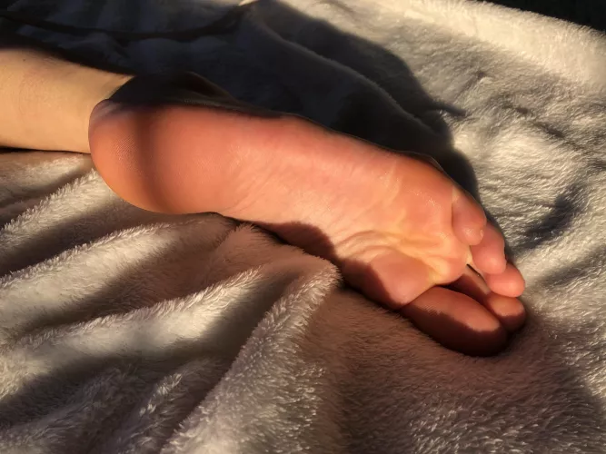 Count the wrinkles with your tongue Count the wrinkles with your tongue