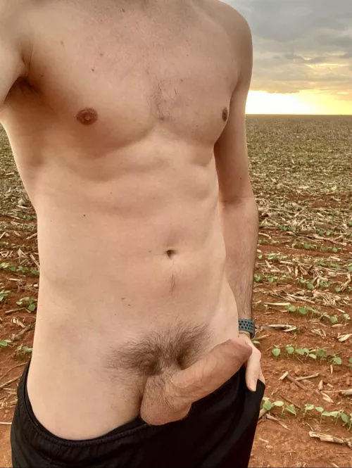 Country boi dick