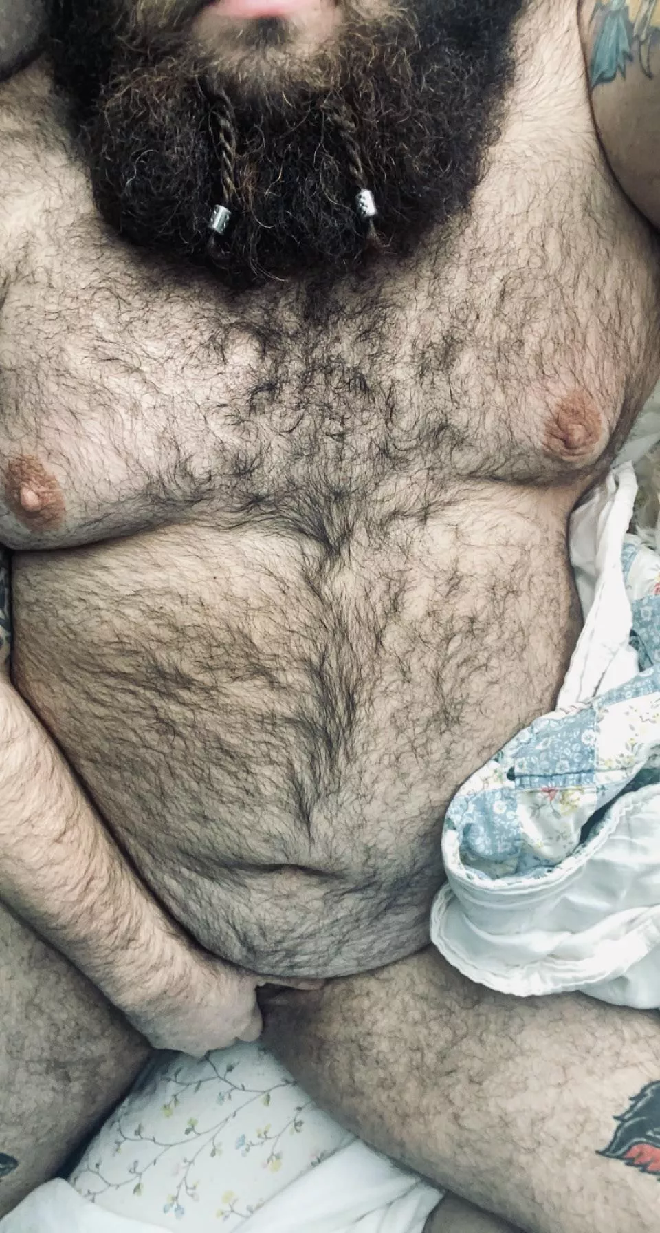 Cozy š»š“ Cozy š»š“