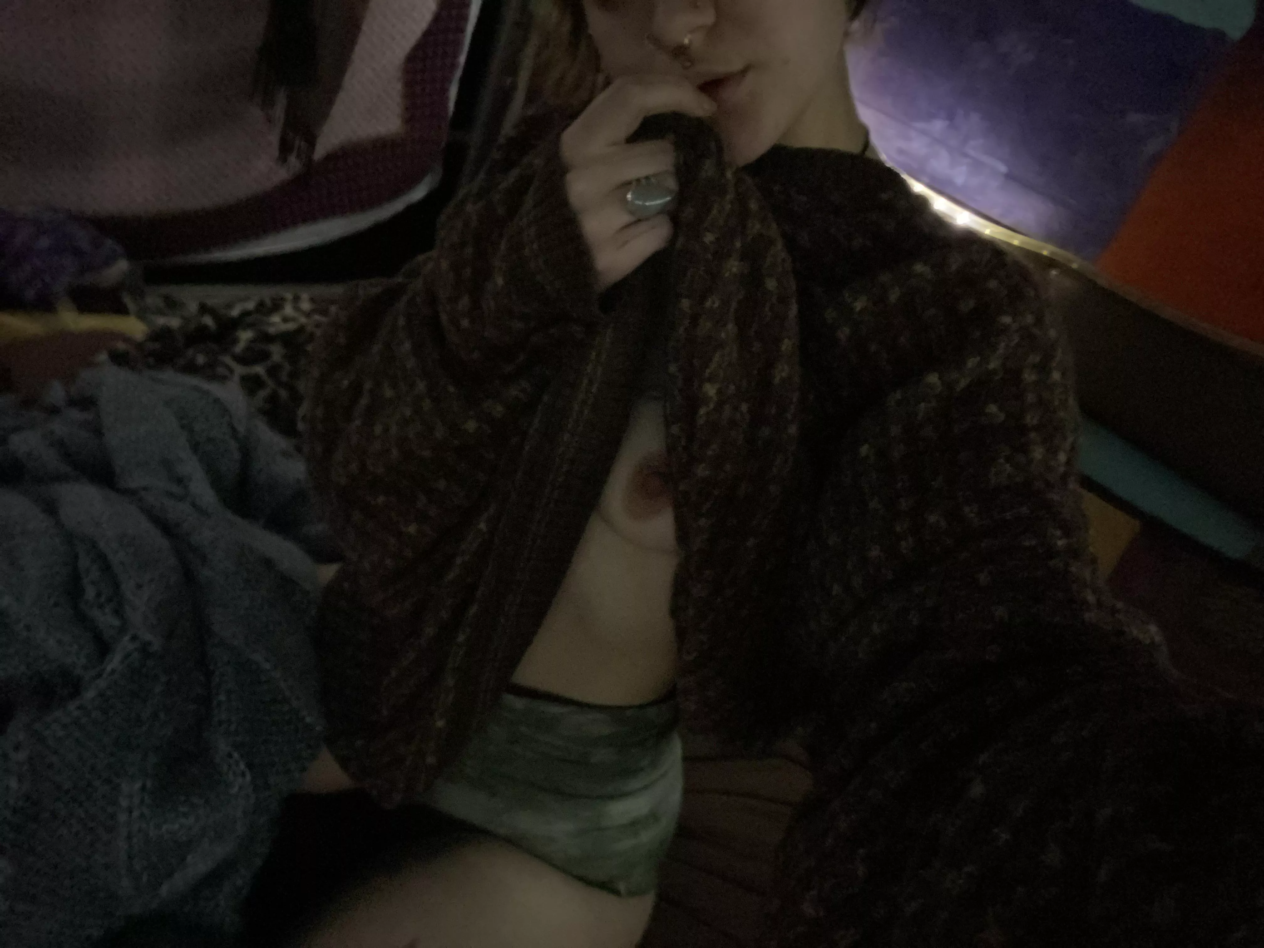 cozy in the bus 2night🐱3️⃣3️⃣3️⃣🦋