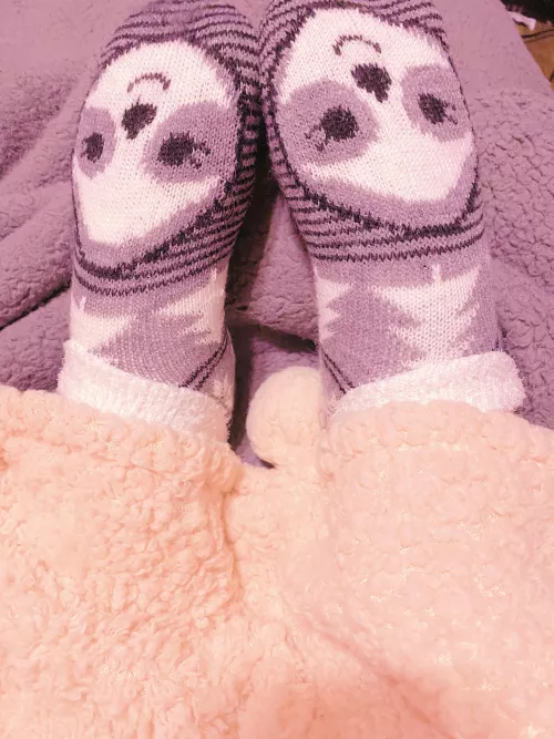 Cozy little sloth socks??
