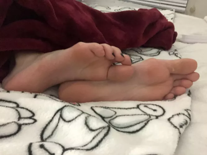 Cozy night, want to join?