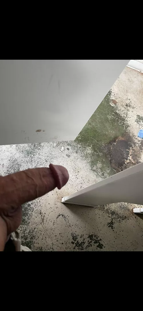 Cruising in a public restroom 🚽