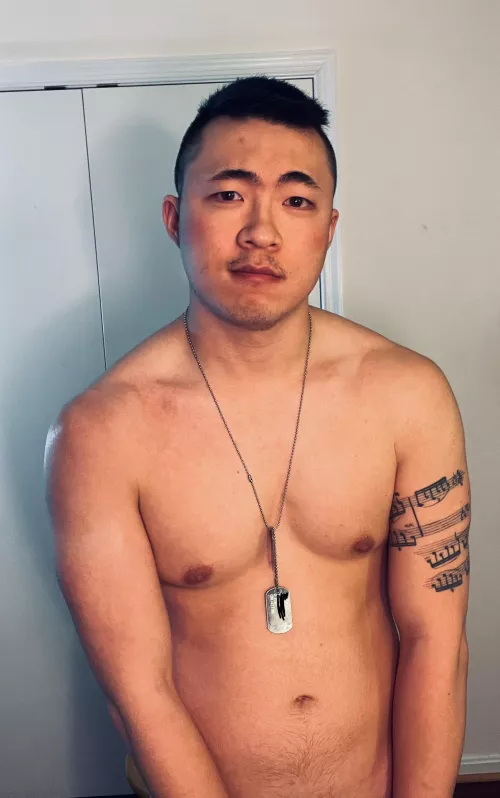 Cuddle applications open Cuddle applications open